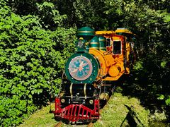 -合肥滨湖国家森林公园