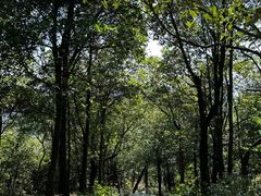 -阳台山自然风景区