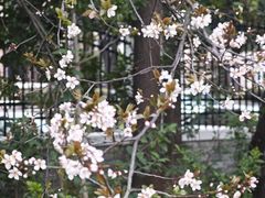 -颐景园