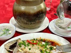 -先鲜鲫鱼粥