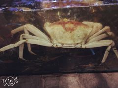 -蟹之国·精品蟹料理(极地店)