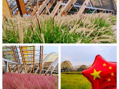 -中国天府农业博览园