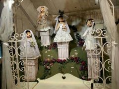 android_upload_pic-济州岛泰迪熊博物馆