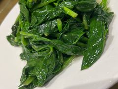 -旭光全羊(临朐店)