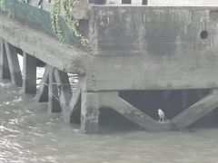 -上海轮渡售票处