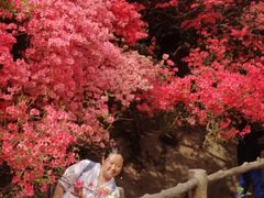 -木兰云雾山