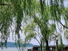 -西湖游船