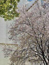 -玄武湖景区-情侣园游乐场