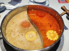 -濠七糟粕醋•海南酸汤火锅(中关村店)