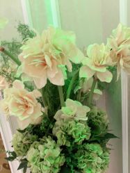 -Cocodemer产后恢复(杭大店)
