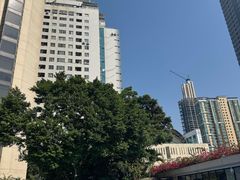 -深圳香格里拉酒店