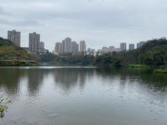 -重庆彩云湖湿地公园