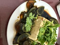 皮蛋豆腐-东门饺子馆(少年宫路店)