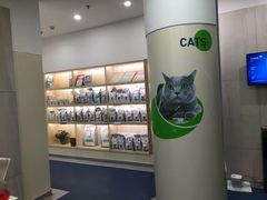 -佩兹宠物医院肿瘤专科·眼科·牙科(黄浦店)
