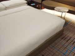 -上海龙之梦万丽酒店