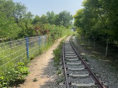 -西青郊野公园