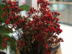 -L'Arome芳芳法国餐厅(仙林金鹰店)