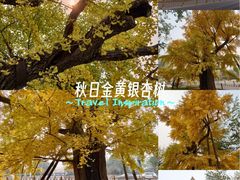 -清华大学玉泉医院