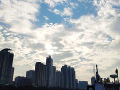 -珠江夜游广州塔·中大码头