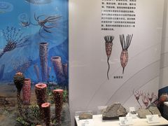 -贵州省地质博物馆