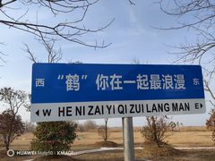 -盐城丹顶鹤湿地生态旅游区
