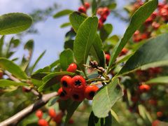 -金堂县云顶石城风景区