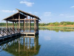 -溱湖国家湿地公园