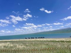 -青海湖国家重点风景名胜区