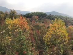 -塔川景区