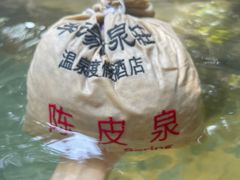 -深业半汤御泉庄温泉