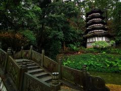 -深圳国际园林花卉博览园