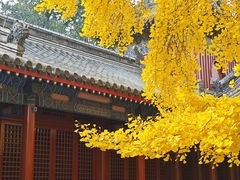 -承恩寺