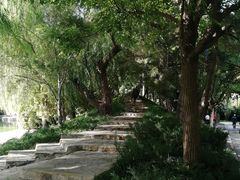 -团结湖公园