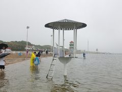 -碧海金沙