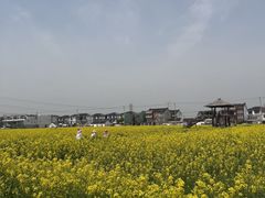 -同里湖度假村(二期店)