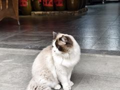 -海窝子古镇