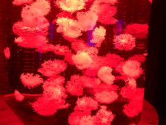 -多彩贵州城极地海洋世界