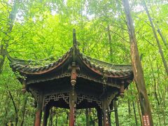 -凤栖山