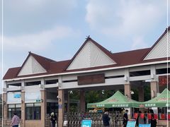 -上海都市菜园