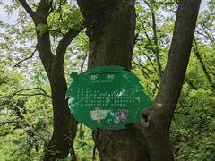 -老山国家森林公园
