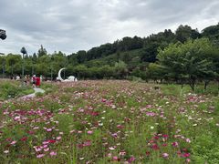 -南北湖风景区