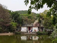 -深圳国际园林花卉博览园