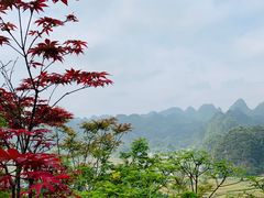 -万峰林风景区