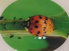 -上海昆虫博物馆