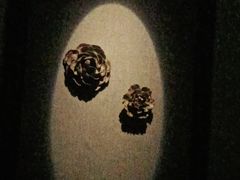 -Dragonfly悠庭·按摩Spa(浦东嘉里城店)