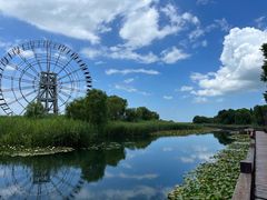 -苏州太湖湖滨国家湿地公园