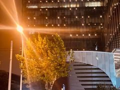 -Golden Lily河内巴黎法越料理餐厅(建国西路店)