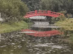 -东莞植物园