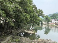 -鹿亭中村