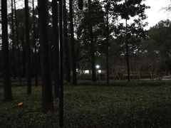 -徐家汇源景区-衡山公园